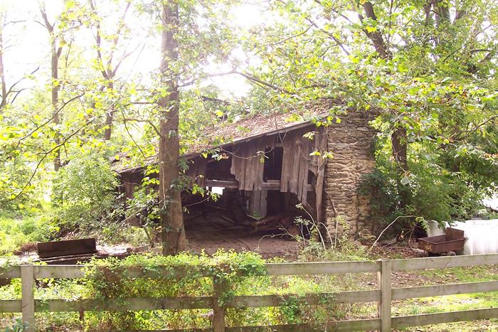 Jackson's Saw Mill ruins