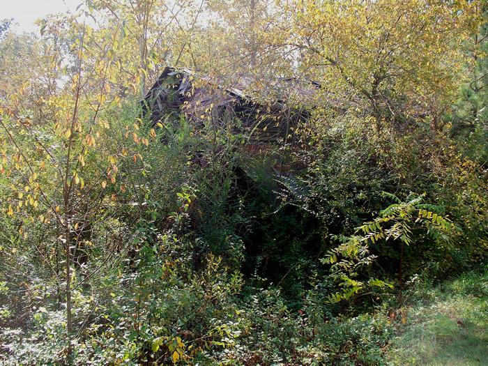 Miller Mill