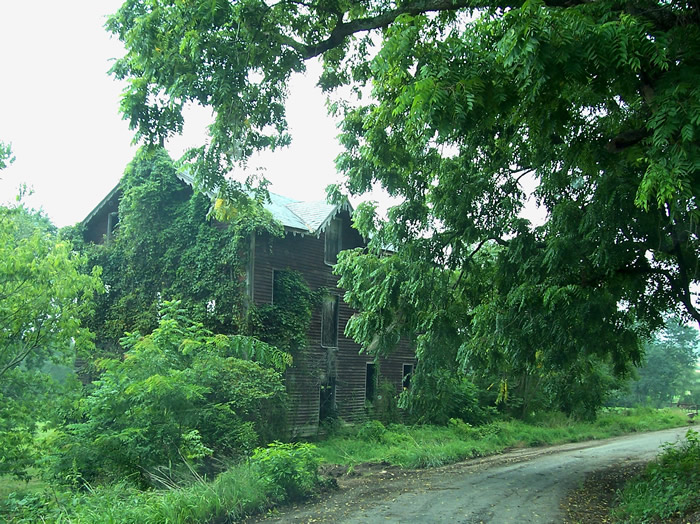 Strohm's Mill / Wood's Mill / Pleasant Grove Mill