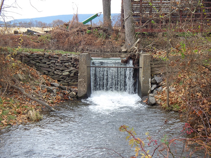 Groves Mill / Hoffa Mill